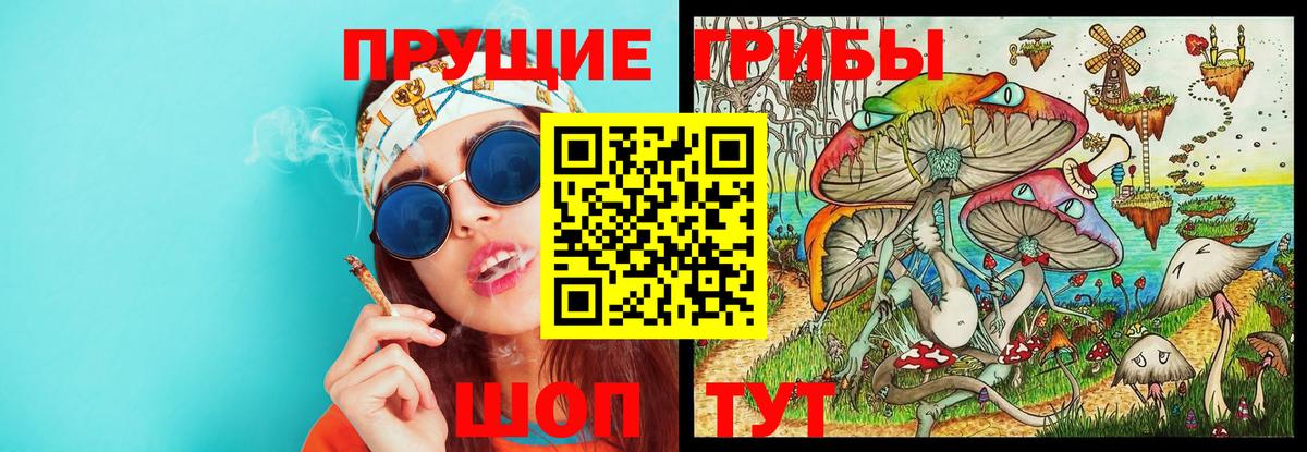 Галлюциногенные грибы мухоморы Владивосток