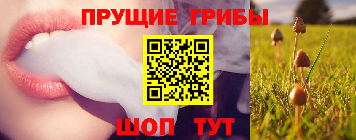 Владивосток  Галлюциногенные грибы мухоморы  Вход с VPN  Галлюциногенные грибы Magic Shrooms 